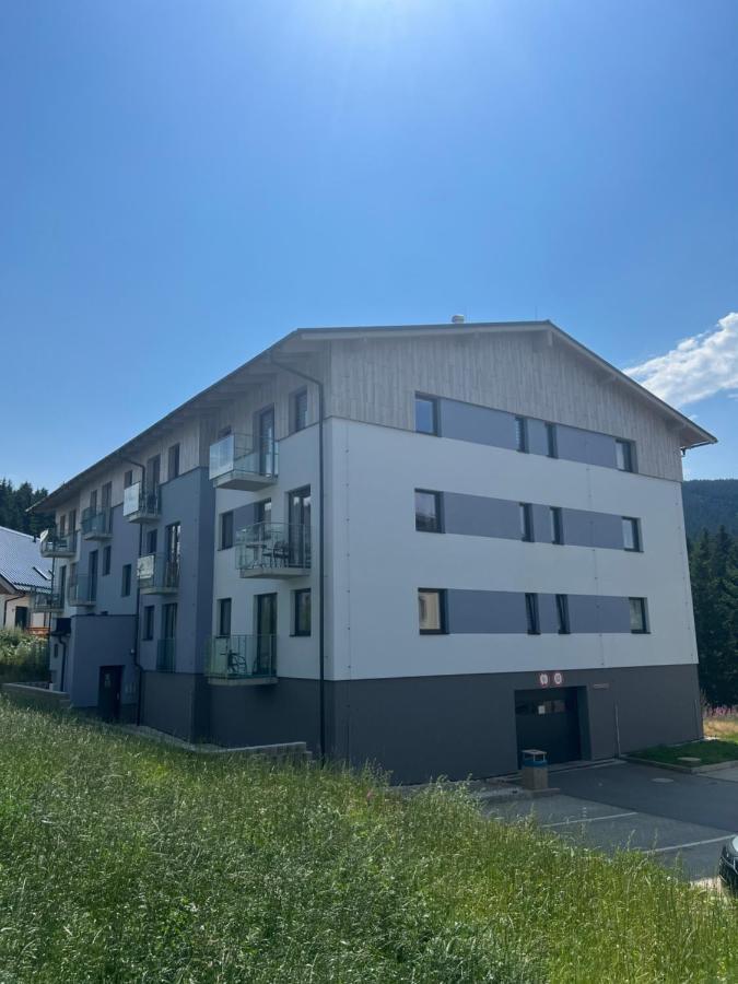 Klinovec-Apartments Loučná pod Klínovcem Dış mekan fotoğraf